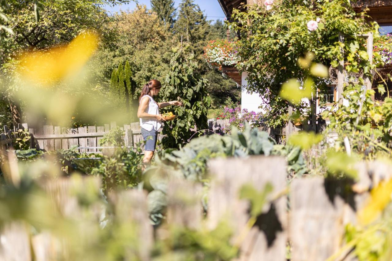 Oberhaslachhof Farm stay *