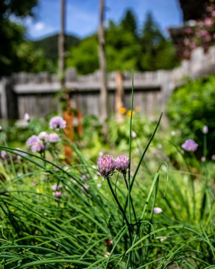 Oberhaslachhof Farm stay Reith im Alpbachtal